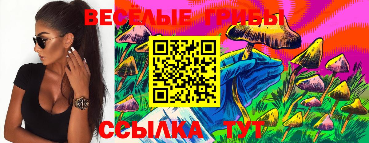 Черемхово  Галлюциногенные грибы Magic Shrooms  Вход с VPN 